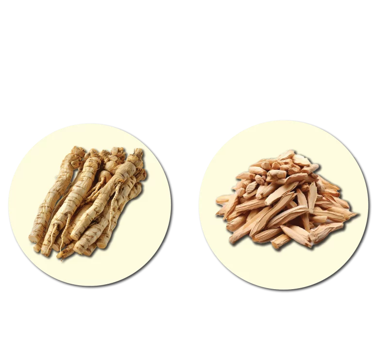 metaponin-hq-bahan