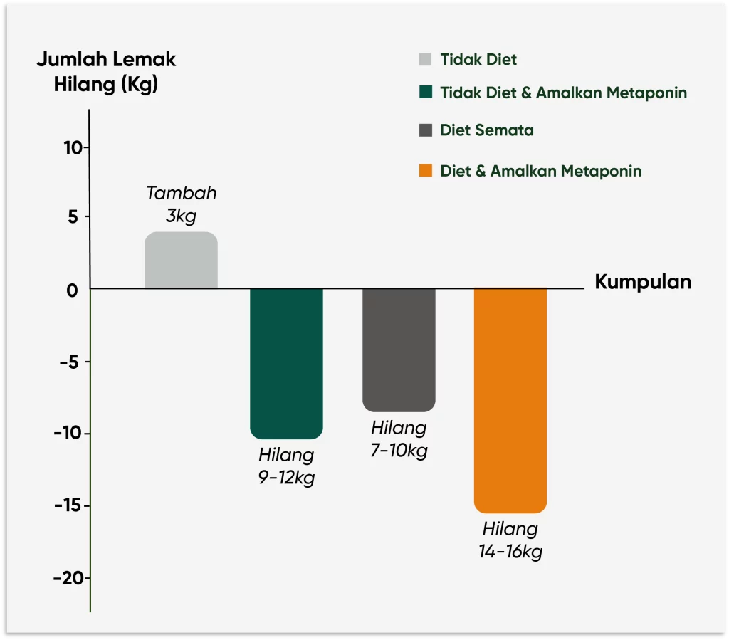 metaponin-hq-graph