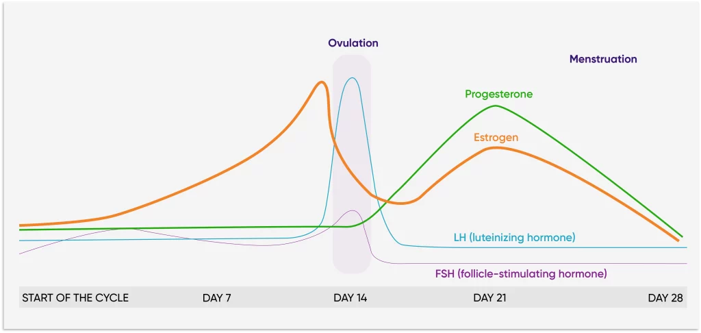 metaponin-hq-graph-kitaran-haid