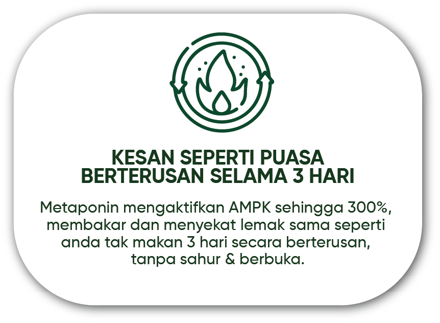 metaponin-hq-kesan