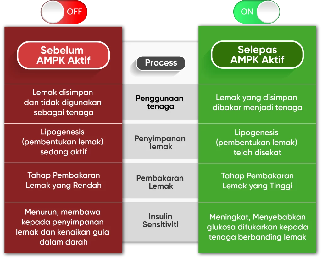 metaponin-hq-kesan