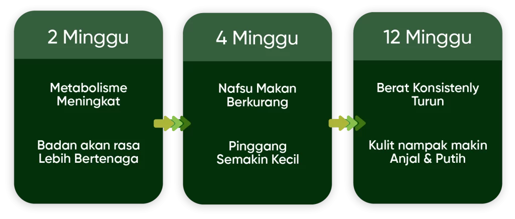 metaponin-hq-kesan