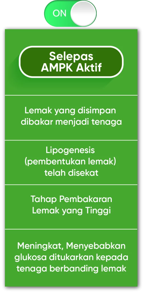 metaponin-hq-kesan